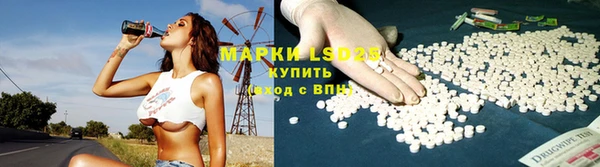 spice Богородицк