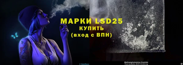 мяу мяу мука Бородино