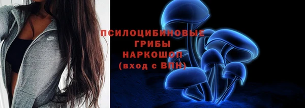 дмт Богородск