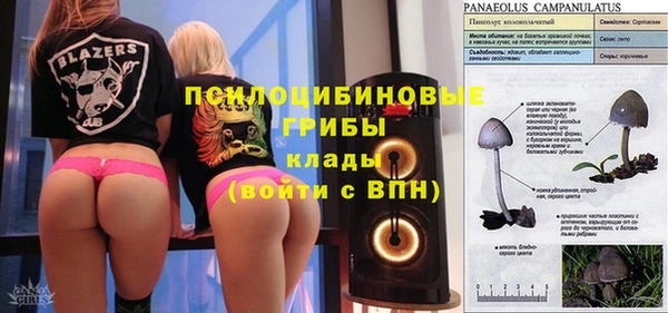 дмт Богородск