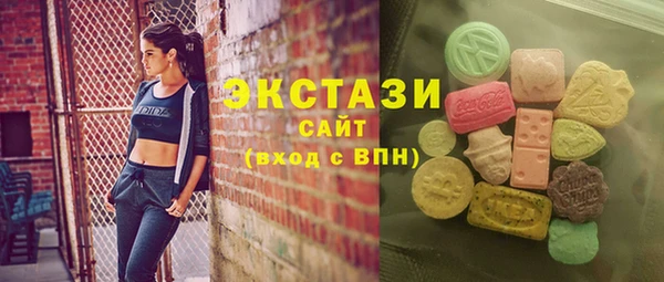 spice Богородицк