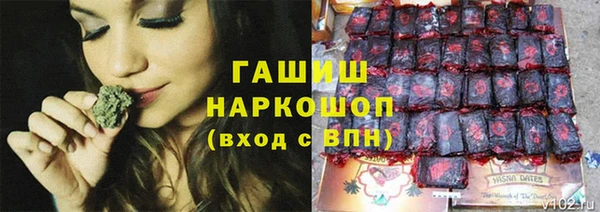 spice Богородицк
